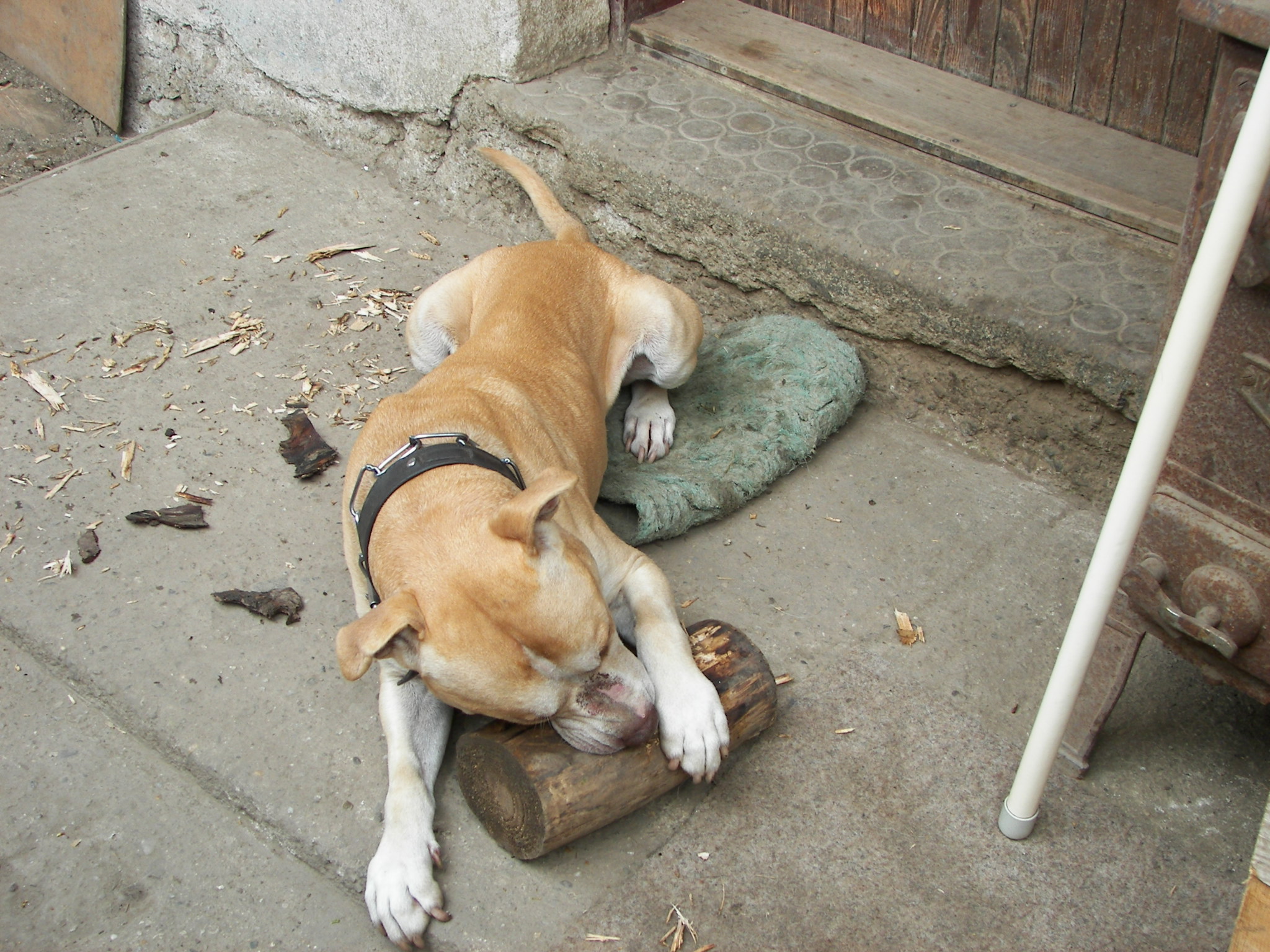 100_2006.JPG